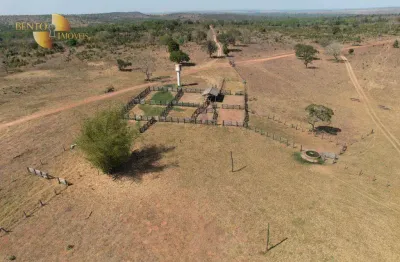 Fazenda à venda, 15100000 m² por r$ 40.000.000,00 - jardim morada do sol - barra do garças/mt