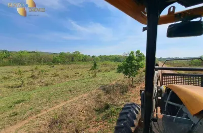 Fazenda à venda, 11000000 m² por r$ 24.000.000,00 - zona rural - rosário oeste/mt