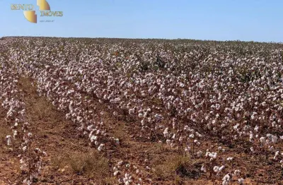 Fazenda à venda, 156300000 m² por r$ 999.999.999,99 - zona rural - ipiranga do norte/mt