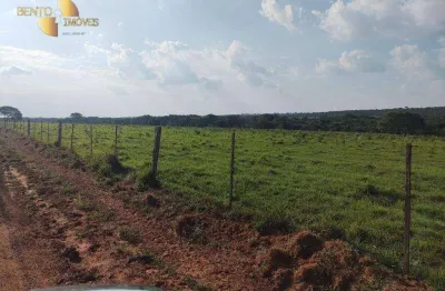 Fazenda à venda, 35000000 m² por r$ 30.000.000,00 - vila bom jardim - nobres/mt