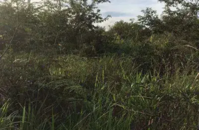 Fazenda à venda, 23470000 m² por r$ 200.000.000,00 - zona rural - marcelândia/mt