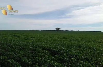 Fazenda à venda, 20400000 m² por r$ 80.000.000,00 - zona rural - ribeirão cascalheira/mt