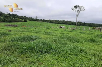Fazenda à venda, 9070000 m² por r$ 26.000.000,00 - zona rural - guarantã do norte/mt