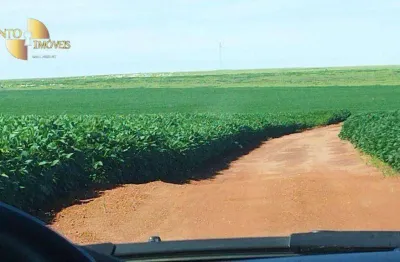 Fazenda à venda, 11430000 m² por r$ 30.000.000,00 - zona rural - jaciara/mt