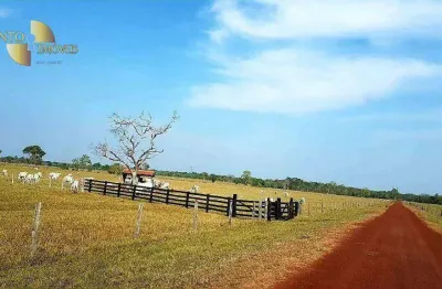 Fazenda à venda, 40700000 m² por r$ 75.000.000,00 - zona rural - cuiabá/mt