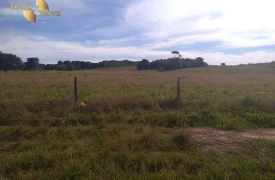 Fazenda à venda, 900000000 m² por r$ 750.000.000,00 - zona rural - são felix do araguaia/mt