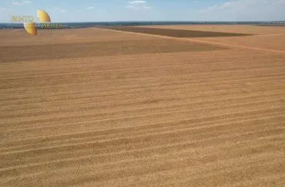 Fazenda à venda, 42630000 m² por r$ 300.000.000,00 - zona rural - sinop/mt