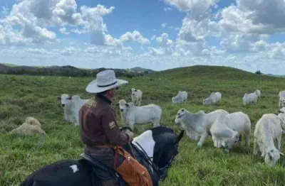 Fazenda à venda, 60000000 m² por r$ 170.000.000,00 - área rural de santa inês - santa inês/ma