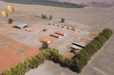 Fazenda à venda, 220000000 m² por r$ 450.000.000,00 - rural - santa filomena/pi