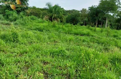 Fazenda à venda, 1215800 m² por r$ 3.500.000,00 - zona rural - poxoréu/mt