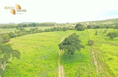 Fazenda à venda, 1410000 m² por r$ 3.500.000,00 - zona rural - guiratinga/mt