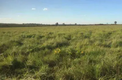 Fazenda à venda, 15890000 m² por r$ 36.000.000,00 - zona rural - paranatinga/mt