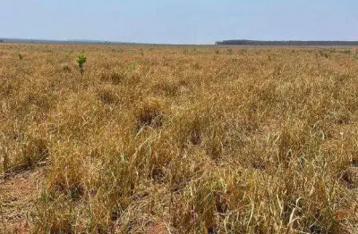 Fazenda à venda, 38260000 m² por r$ 71.737.500,00 - zona rural - primavera do leste/mt