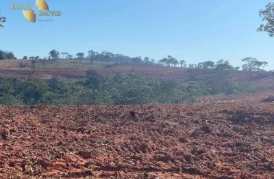 Fazenda à venda, 19360000 m² por r$ 30.000.000,00 - zona rural - primavera do leste/mt