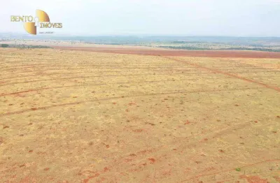 Fazenda à venda, 7500000 m² por r$ 20.000.000,00 - zona rural - guiratinga/mt