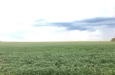 Fazenda à venda, 1500000 m² por r$ 16.000.000,00 - zona rural - nova mutum/mt