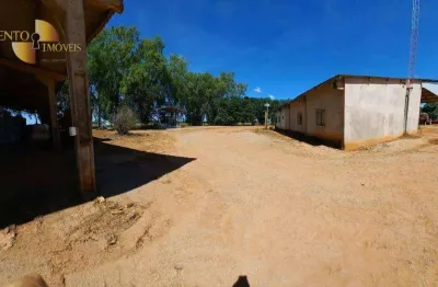 Fazenda à venda, 12400000 m² por r$ 187.500.000,00 - zona rural - nova mutum/mt