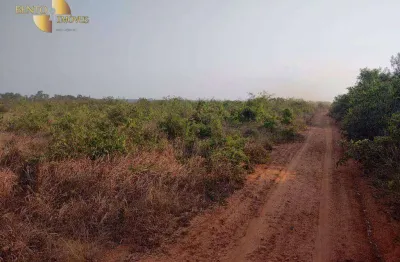 Fazenda à venda, 20000000 m² por r$ 50.000.000,00 - zona rural - feliz natal/mt