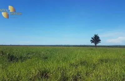 Fazenda à venda, 88800000 m² por r$ 159.000.000,00 - zona rural - paranatinga/mt