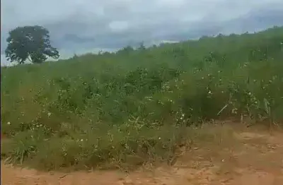 Fazenda à venda, 57000000 m² por r$ 125.000.000,00 - zona rural - feliz natal/mt