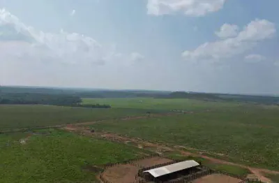 Fazenda à venda, 24360000 m² por r$ 187.500.000,00 - zona rural - nova mutum/mt