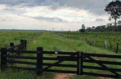Fazenda à venda, 10312 hectares por r$ 123.750.000 - zona rural - marcelândia/mt