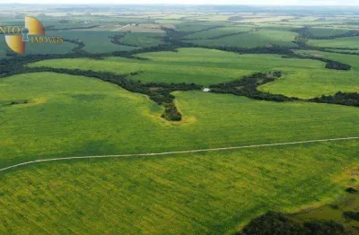 Fazenda à venda, 5400 hectaes por r$ 254.000.000 - zona rural - paranatinga/mt