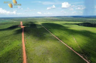 Fazenda à venda, 134000000 m² por r$ 586.250.000,00 - zona rural - nova ubiratã/mt