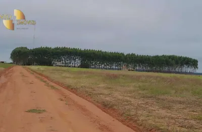 Fazenda à venda, 33600000 m² por r$ 90.000.000,00 - zona rural - gaúcha do norte/mt