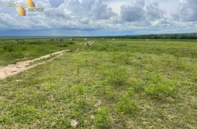 Fazenda à venda, 42500000 m² por r$ 50.000.000,00 - zona rural - guiratinga/mt