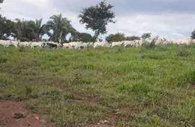 Fazenda com tradição em qualidade. 345 hectares por r$ 6.000.000 - zona rural - cuiabá/mt