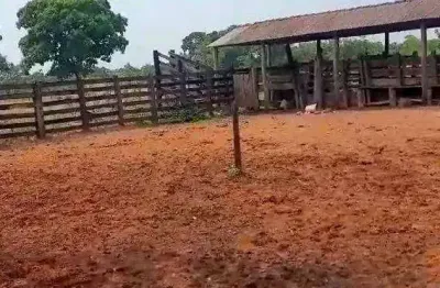 Fazenda com infraestrutura pronta. 225 ha por r$ 5.625.000 - zona rural - poconé/mt