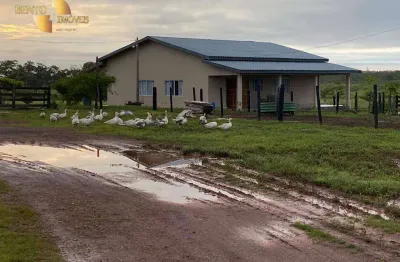 Fazenda à venda, 18350000 m² por r$ 47.000.000,00 - zona rural - pimenta bueno/ro