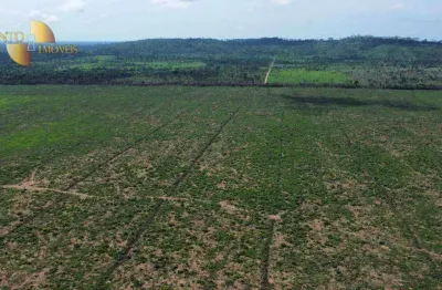 Fazenda que une o melhor da terra e do gado.  venda, 9680 hectares por r$ 160.000.000 - zona rural - divisa com o estado do pará