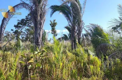 Fazenda com infraestrutura pronta. fazenda à venda, 132 hectares por r$ 850.000 - zona rural - nossa senhora do livramento/mt