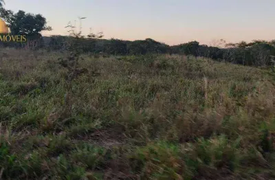Fazenda com tradição em qualidade. fazenda à venda, 750 hectares  por r$ 12.000.000 - zona rural - poconé/mt