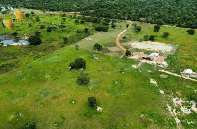 Fazenda com infraestrutura pronta. fazenda à venda, 721 hectares por r$ 10.000.000 - zona rural - poconé/mt