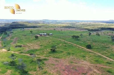 Fazenda com gestão eficiente e inovadora. fazenda à venda, 850 hectares por r$ 10.000.000 - zona rural - tesouro/mt