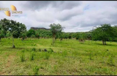 Fazenda com múltiplas possibilidades de uso. fazenda à venda, 300 hectares por r$ 6.000.000 - campo verde/mato grosso