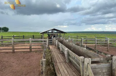 Fazenda com estrutura completa para criação. fazenda à venda, 809 hectares por r$ 35.393.750 - zona rural - jaciara/mt