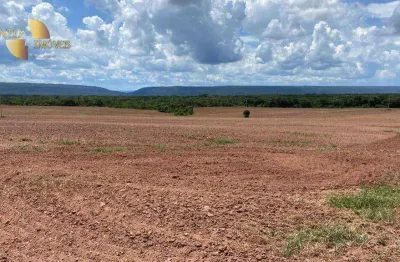 Fazenda com cultivo e criação rentáveis. fazenda à venda, 1400 hectares por r$ 24.000.000 - zona rural - rosário oeste/mt