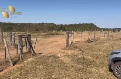Fazenda com múltiplas possibilidades de uso. fazenda à venda, 750 hectares por r$ 13.000.000 - zona rural - guiratinga/mt