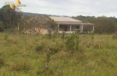 Manejo ecológico para criação. fazenda à venda, 600 hectares por r$ 7.500.000 - zona rural - planalto da serra/mt