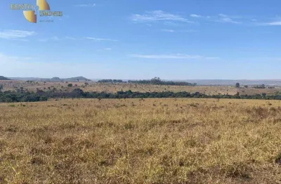 Fazenda que une o melhor da terra e do gado. fazenda à venda, 350 hectares por r$ 12.000.000 - zona rural - itiquira/mt