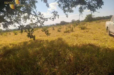 Fazenda com manejo ecoeficiente. fazenda à venda, 695 hectares por r$ 7.500.000 - zona rural - tesouro/mt