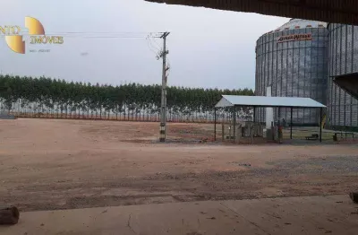 Fazenda porteira fechada, preparada para novos desafios agropecuário, 49937 hectares por r$ 1.200.000.000,00 - zona rural - nova ubiratã/mt