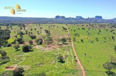 Fazenda com gestão eficiente do rebanho, 948 hectarespor r$ 10.000.000 - zona rural - guiratinga/mt