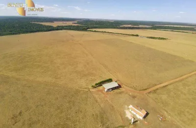 Fazenda à venda, 1452 hectares, por r$ 51.000.000 - zona rural - porto dos gaúchos/mt