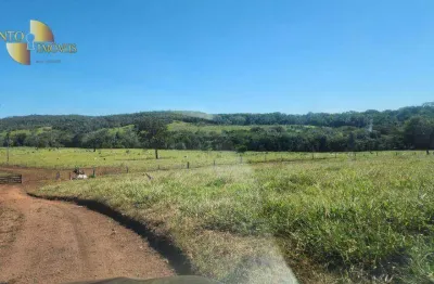 Fazenda à venda, 20990 hectares por r$ 250.000.000 - zona rural - novo são joaquim/mt