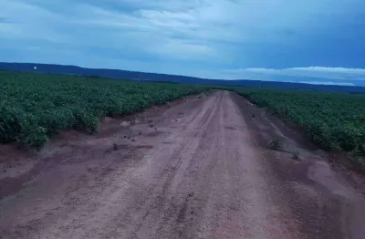 Fazenda à venda, 2600 hectares por r$ 71.500.000 - zona rural - nova brasilândia/mt